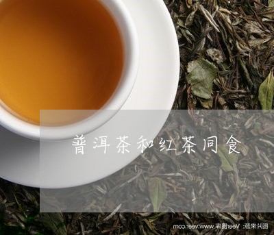 普洱茶和红茶同食/2023033117371