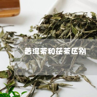 普洱茶和茯茶区别/2023031620582