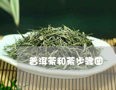 普洱茶和茶步骤图/2023041197379