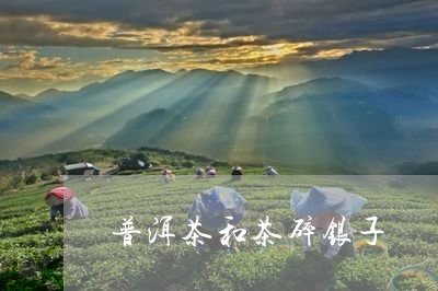 普洱茶和茶碎银子/2023041135139