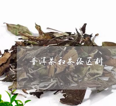 普洱茶和茶经区别/2023041070615