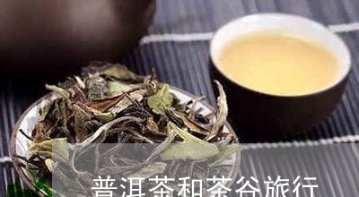 普洱茶和茶谷旅行/2023041149847