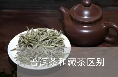 普洱茶和藏茶区别/2023031583925