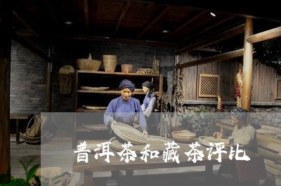 普洱茶和藏茶评比/2023041175371