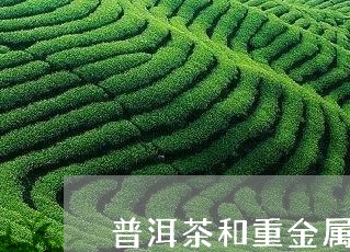 普洱茶和重金属味/2023033187472