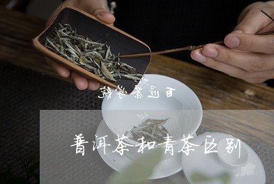 普洱茶和青茶区别/2023041104936