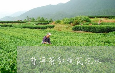 普洱茶和黄芪泡水/2023040959480