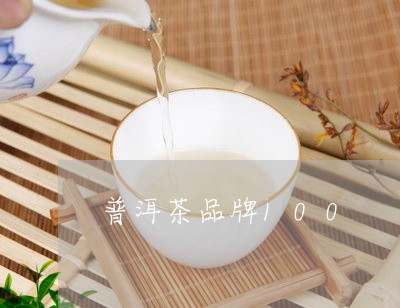 普洱茶品牌100/2023031583817