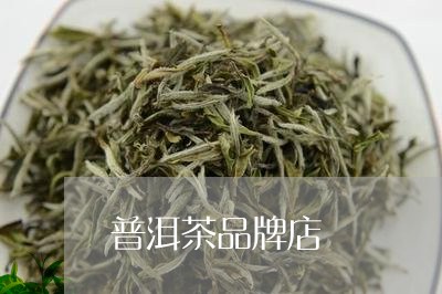 普洱茶品牌店/2023041375947