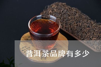 普洱茶品牌有多少/2023041353723