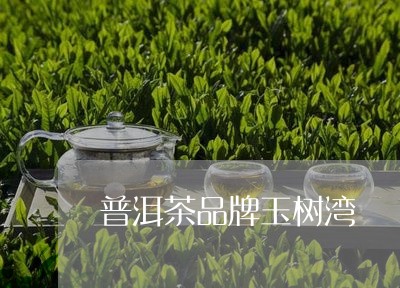 普洱茶品牌玉树湾/2023041221626