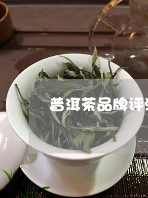 普洱茶品牌评测表/2023041328260