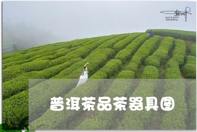 普洱茶品茶器具图/2023031854825