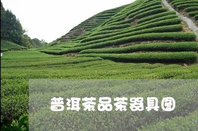 普洱茶品茶器具图/2023041370837