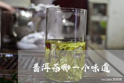 普洱茶哪一个味道/2023033070513