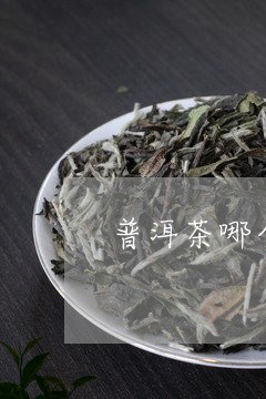 普洱茶哪个做得好/2023040108269