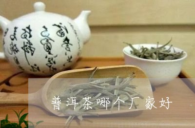 普洱茶哪个厂家好/2023031732824