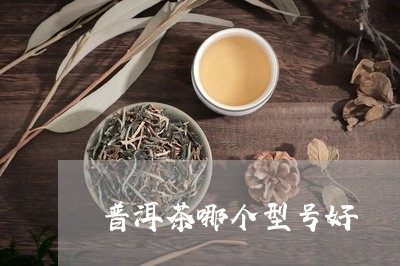 普洱茶哪个型号好/2023041281484