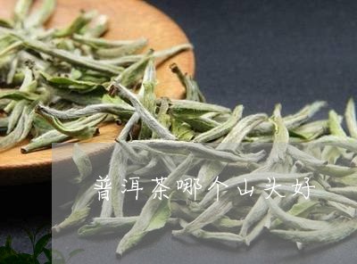 普洱茶哪个山头好/2023041458406