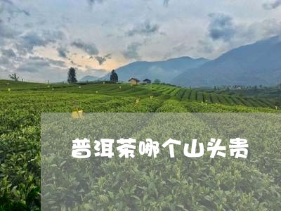 普洱茶哪个山头贵/2023040976260