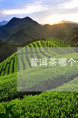 普洱茶哪个最好卖/2023041432728