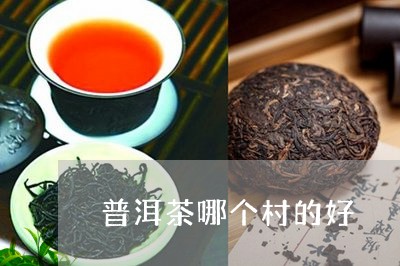 普洱茶哪个村的好/2023031791594