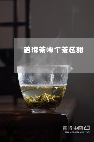 普洱茶哪个茶区甜/2023041153916