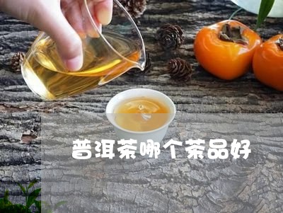 普洱茶哪个茶品好/2023041132715