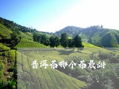 普洱茶哪个茶最甜/2023041204846