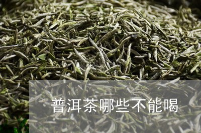 普洱茶哪些不能喝/2023041081616