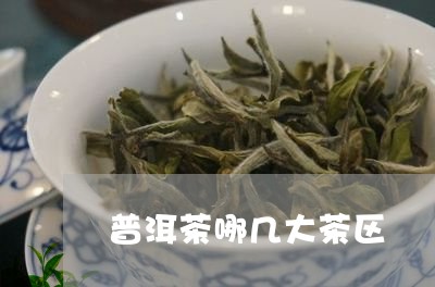 普洱茶哪几大茶区/2023031690702