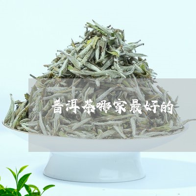 普洱茶哪家最好的/2023031821504