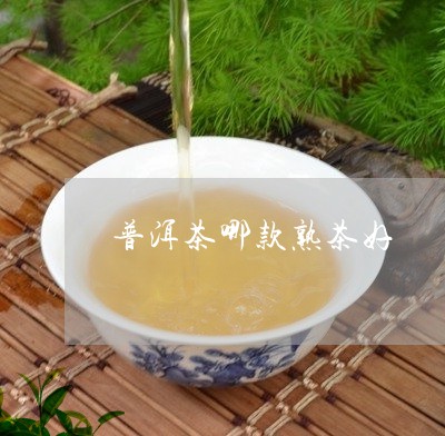 普洱茶哪款熟茶好/2023031615369