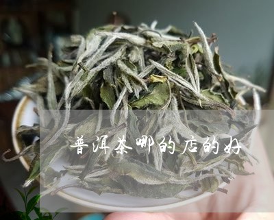 普洱茶哪的店的好/2023033120580