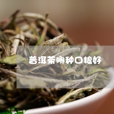 普洱茶哪种口粮好/2023031692837