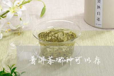 普洱茶哪种可以存/2023031759378