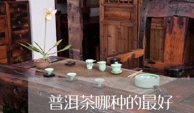 普洱茶哪种的最好/2023041064158