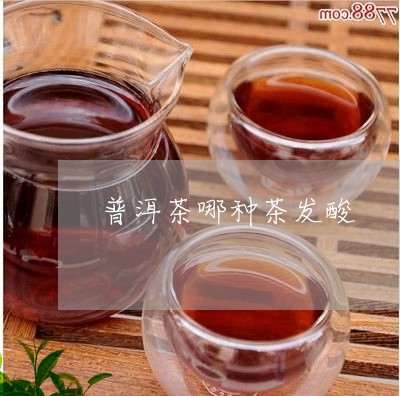 普洱茶哪种茶发酸/2023041298269