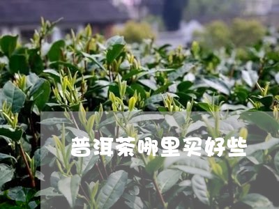 普洱茶哪里买好些/2023031813815