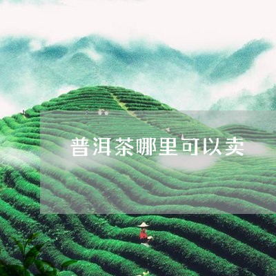 普洱茶哪里可以卖/2023041123158