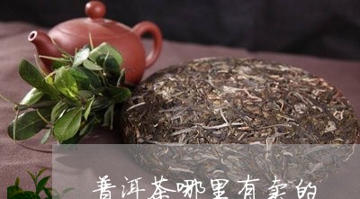 普洱茶哪里有卖的/2023041242605