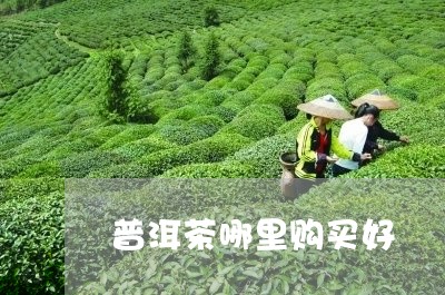 普洱茶哪里购买好/2023040995937