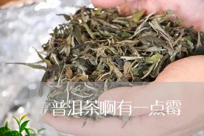 普洱茶啊有一点霉/2023033096958