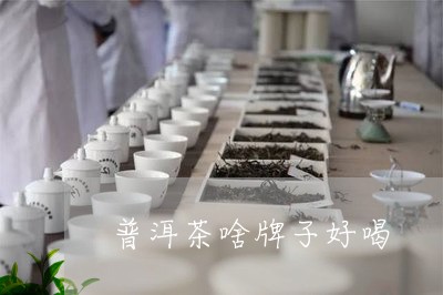 普洱茶啥牌子好喝/2023031867259