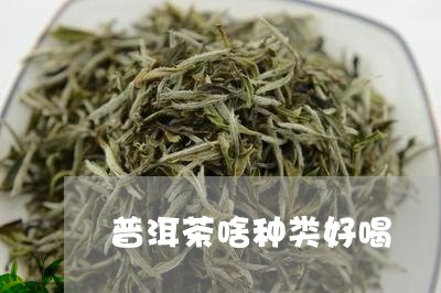 普洱茶啥种类好喝/2023041349393