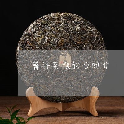 普洱茶喉韵与回甘/2023033008472