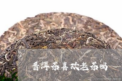 普洱茶喜欢老茶吗/2023041143725