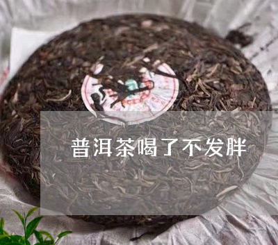 普洱茶喝了不发胖/2023040971503