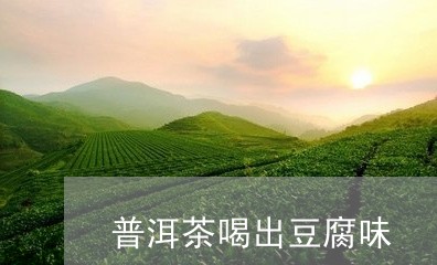 普洱茶喝出豆腐味/2023041088260