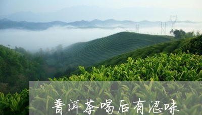 普洱茶喝后有涩味/2023031625273